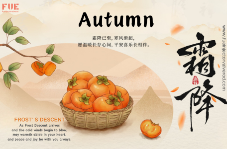 Injector Valve Rod 095030-1177 - fueinjectorvalverod