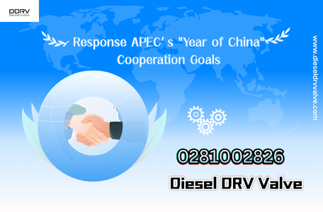 095030-6070 Fuel Injector Valve Rod Responses APEC’s “Year of China” Cooperation Goals